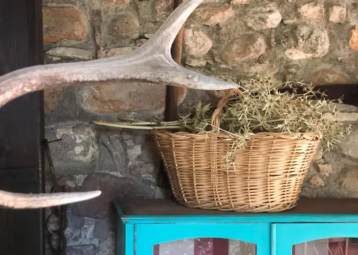 Cascina Mattarelle B&B 4*