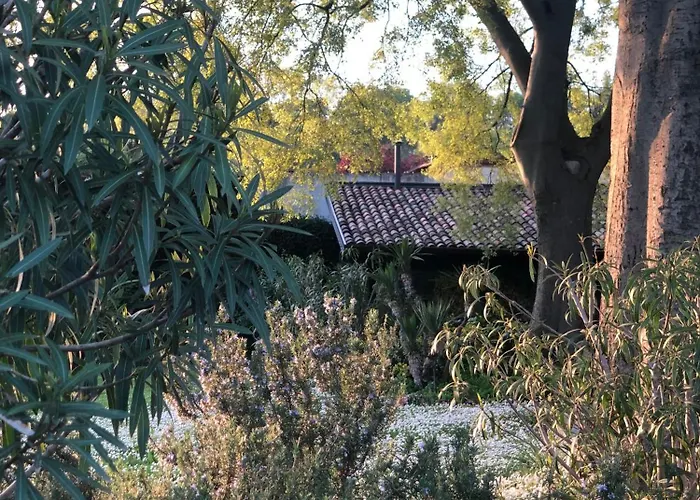 Cascina Mattarelle B&B 몬잠바노