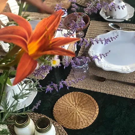 Cascina Mattarelle Alojamento de Acomodação e Pequeno-almoço Monzambano